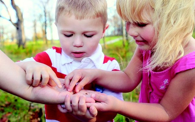 Idées d'art et d'artisanat de printemps pour les enfants