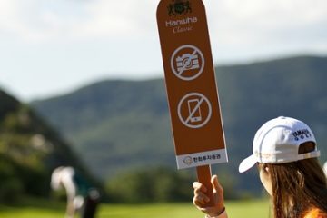 Idées d'artisanat à l'aide de balles de golf