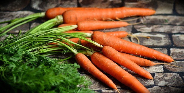 Informations sur l'alimentation des chiens carottes carottes