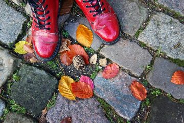 Quelles couleurs correspondent aux chaussures marron ?