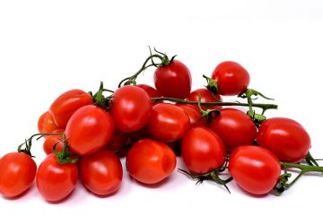 Comment éviter que les plants de tomates ne poussent si haut