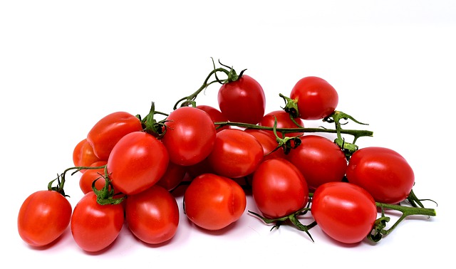 Comment éviter que les plants de tomates ne poussent si haut