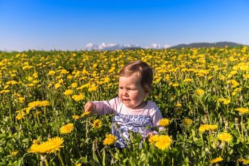 Comment faire passer l'herbe jaune au vert