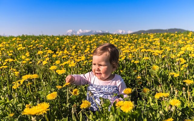 Comment faire passer l'herbe jaune au vert