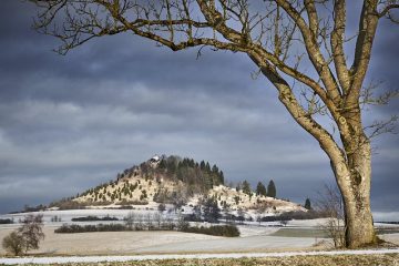 Comment faire pour Stratifier à froid les graines stratifiées