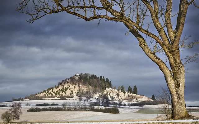 Comment faire pour Stratifier à froid les graines stratifiées