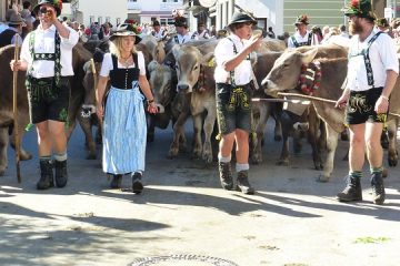 Comment faire un costume de vache