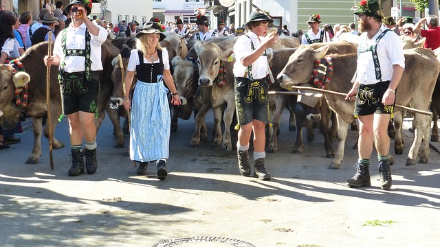 Comment faire un costume de vache