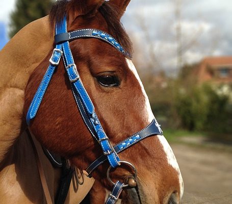 Comment installer un filet de badminton