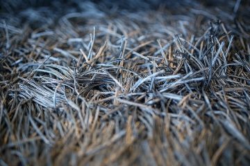 Comment réparer les franges de tapis