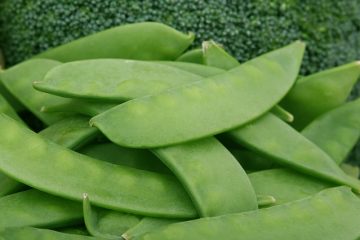 Légumes considérés comme du fourrage grossier