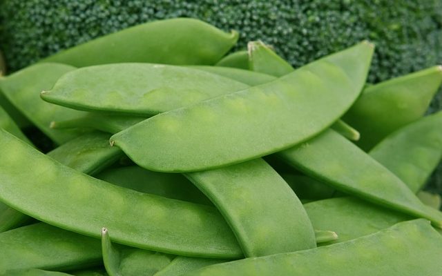 Légumes considérés comme du fourrage grossier