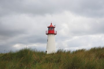 Traitement des éperons osseux du coude