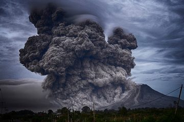 À quoi ressemble l'éruption du lierre empoisonné ?