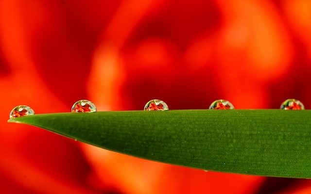 Comment ajouter des perles à un abat-jour de lampe