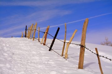 Comment cacher la vilaine clôture d'un voisin.