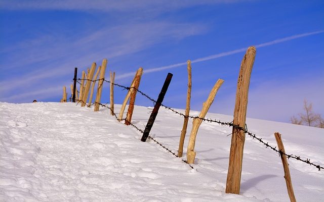 Comment cacher la vilaine clôture d'un voisin.