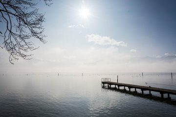 Comment construire vos propres clôtures d'intimité temporaires rustiques.