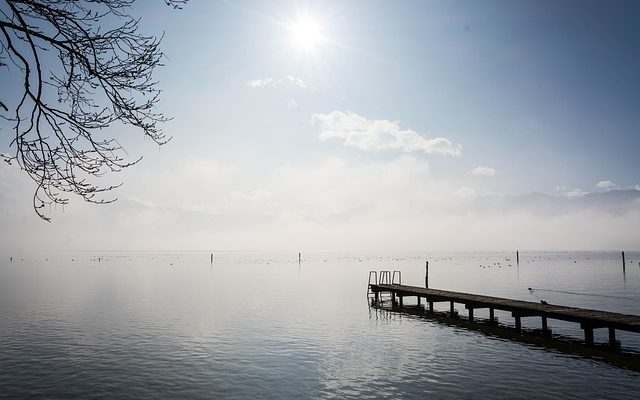 Comment construire vos propres clôtures d'intimité temporaires rustiques.