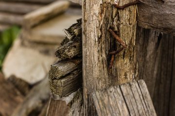 Comment dissoudre une écharde de bois