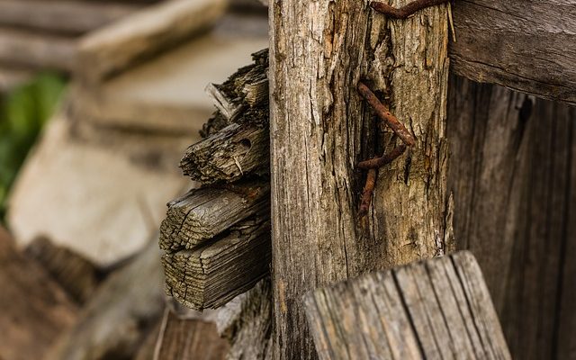 Comment dissoudre une écharde de bois