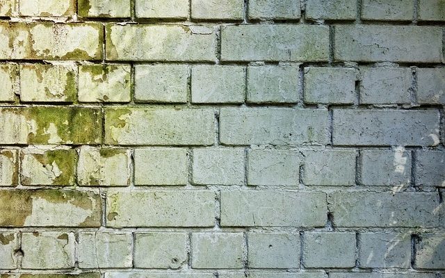 Comment nettoyer les cadres de fenêtres en métal moisissure.