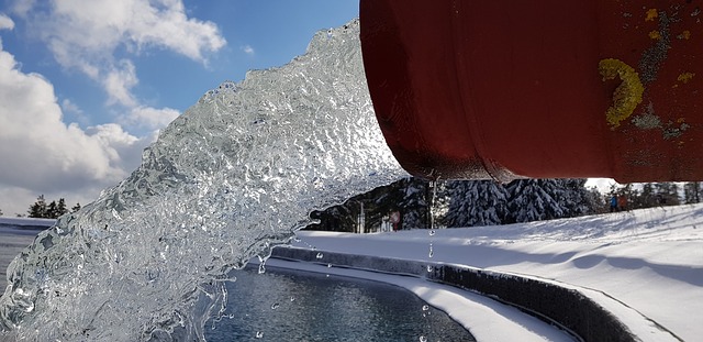 Devrais-je acheter un cerisier pleureur de fontaines à neige ?