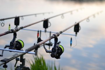 Le meilleur appât de pêche pour les étangs