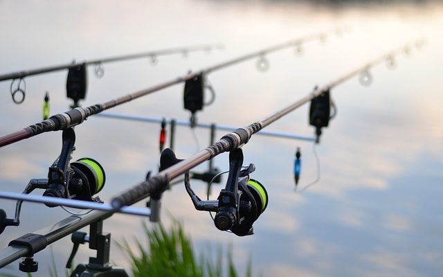 Le meilleur appât de pêche pour les étangs