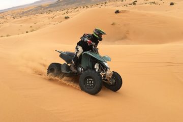 Plantes dans le désert du Sahel