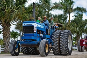 Que se passe-t-il lorsque les roulements de roue sortent sur une voiture ?