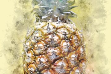 Quels aliments vont bien avec l'ananas ?