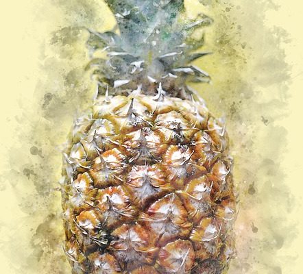 Quels aliments vont bien avec l'ananas ?