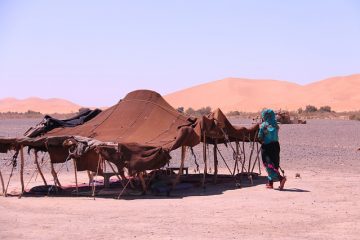 Traitement de la moisissure de la tente et de la moisissure de la tente