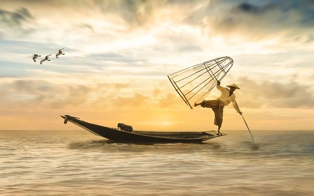 Bons assaisonnements pour le poisson