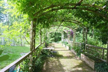 Comment construire une pergola