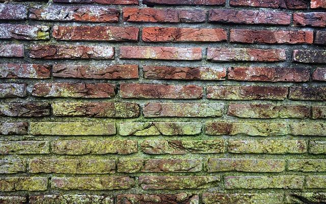 Comment enlever la moisissure sur un joint d'étanchéité de porte de douche