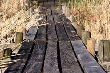 Comment fabriquer des boîtes à jouets en bois