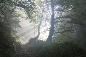 Comment faire face à un petit ami de mauvaise humeur