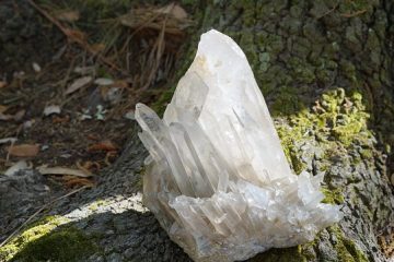 Comment trouver la valeur d'une carafe à décanter en cristal