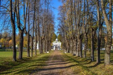 Comment trouver les terres abandonnées non réclamées