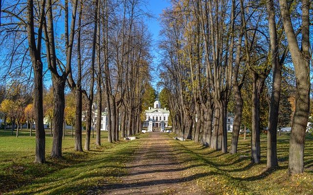 Comment trouver les terres abandonnées non réclamées