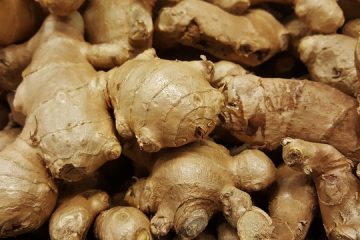 Comment tuer les mûres et les fougères bracken