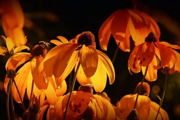 Idées pour les décorations florales de table