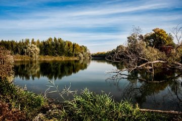 Instructions pour le jointoiement d'un patio en pierre à l'extérieur