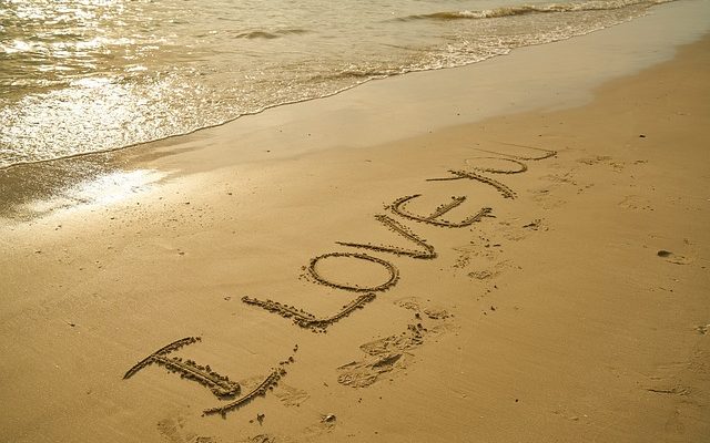 Le sable est-il bon pour la protection des semences de graminées ?