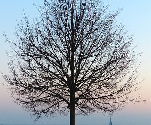 Les meilleurs endroits où vivre pour les femmes célibataires