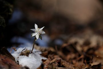 Signes d'un ex jaloux