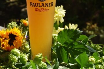 Avantages de la levure de bière pour la peau