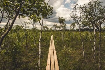 Comment construire un cadre de lit en bois